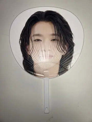 EBIDAN the LIVE 2025 shoot 부채