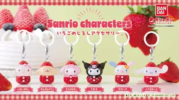 산리오 캐릭터 딸기 메실리 액세서리 컴플리트 세트