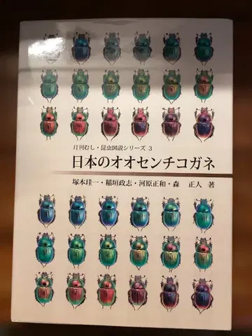 일본의 오오센치코가네