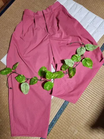 [ THE YOn ] 치노 팬츠 FREE 핑크 여성용