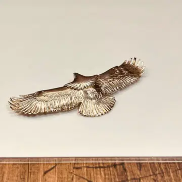 TADY & KING 단종 구형 다이아 중간 이글 실버 단종 이글