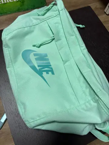 Nike 바디백 민트 그린