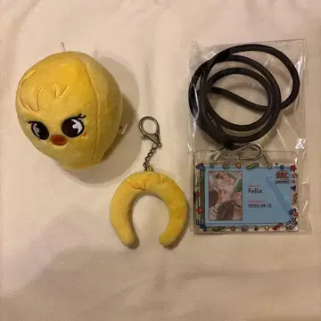 straykids 포가리 필릭스 세트