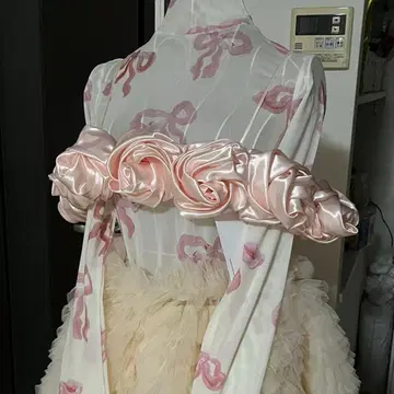 Ans Dotsloevner 웨딩 로즈 뷔스티에 핑크