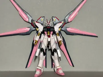 HGCE 스트라이크 프리덤 믹싱 제품