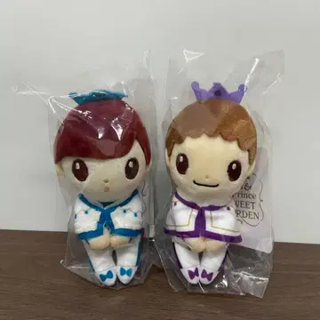 진구지 유타 기시 유타 춋코리상