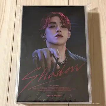 SEVENTEEN 에스쿱스 바파케