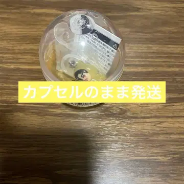 나가오 켄토 나니와단시의 메지루시 참 2026 VoyAGE 1stDOME