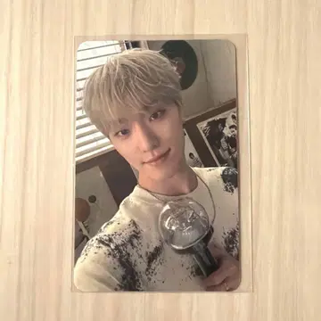 SEVENTEEN caratzone 디노