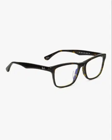 Ray-Ban 하바나 웰링턴 스타일 안경