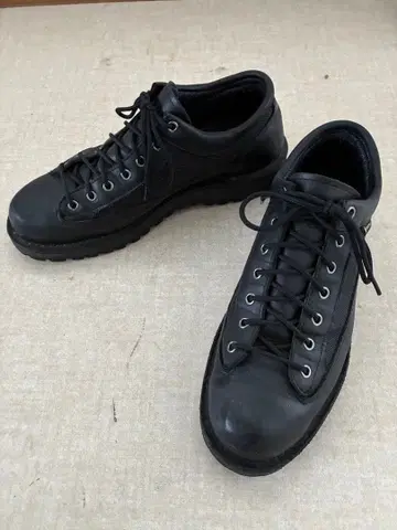 [사이즈 택 열람용] Danner 로우컷 부츠