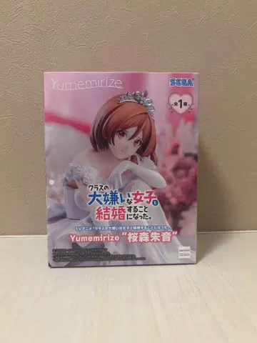 클래스에서 가장 싫어하는 여자와 결혼하게 된 피규어 (벚꽃 숲 아카네)
