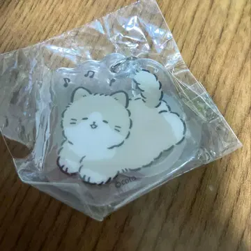 고양이 아크릴 메지루시 참 미개봉 가챠