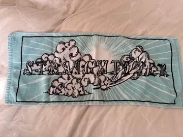 스트레이테너 타월