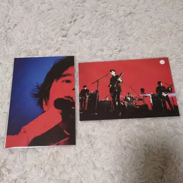 엘리펀트 카시마시 미야모토 히로지 엽서