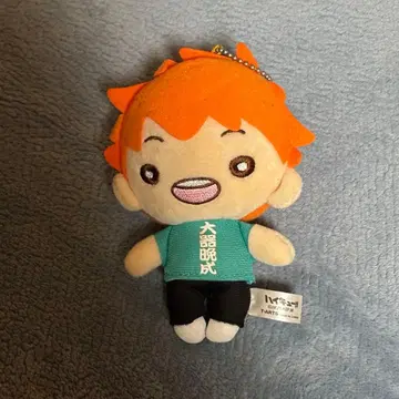 히나타 쇼요 봉제 인형 니토탄