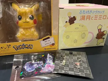 포켓몬 굿즈 피카피카 박스