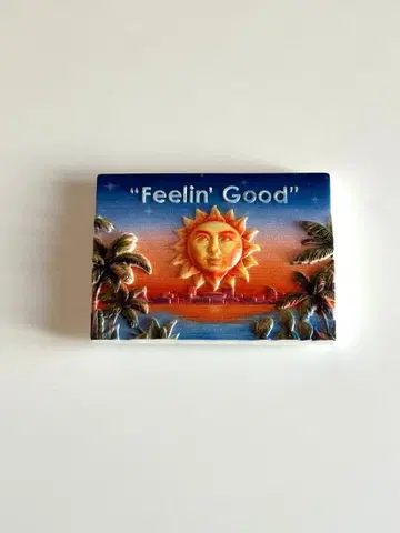 Feelin' Good 마그넷 닛산 스타디움 후지이 카제