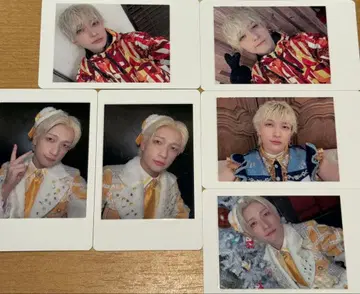 요타 팬더드래곤 하피카