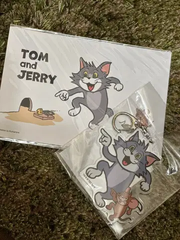 톰과 제리전 곰미네 세트