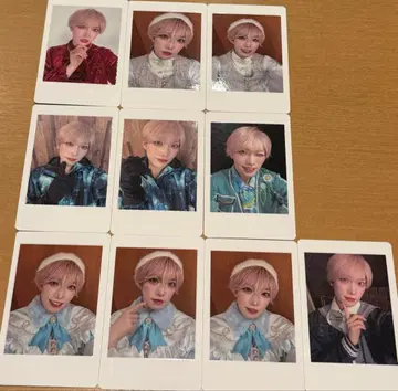 타이가 팬더드래곤 하피카