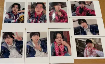 나기 팬더드래곤 하피카