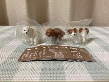 굼틀굼틀 3개 토이 푸들 포메라니안 잭 러셀