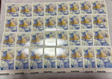 에이트리 파샤코레 화이트 광당의