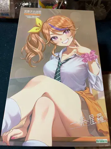 코토부키야 이치죠 세이라 정크 취급 부품 채취 등 용도