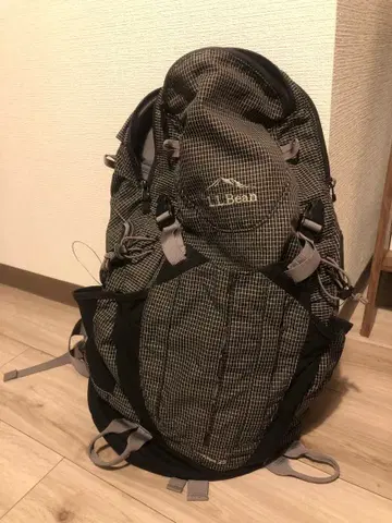 L.L.Bean Day Trekker 25