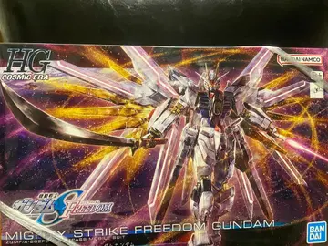 HG 마이티 스트라이크 프리덤 건담