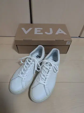 베자 ESPLAR LEATHER WHITE 43