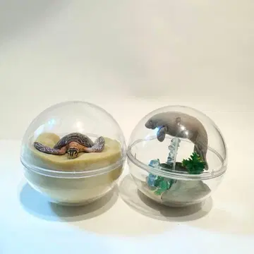 오키나와 추라우미 수족관 캡슐 토이 가챠가챠