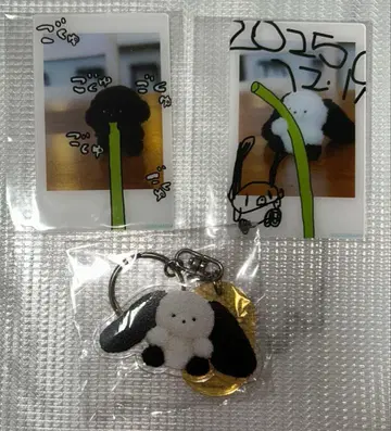 죠세마루 체키포토카드 가챠가챠 아크릴 키링