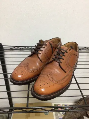 리갈 2235 임페리얼 그레이드 26.0 윙팁