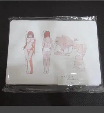 일기당천 Great Guardians ] 설정 자료 190장