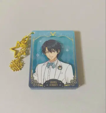 신 테니스의 왕자님 에치젠 료마 중국 상하이 카페 아크릴 블록 코롯타