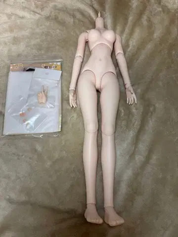 보크스 돌피드림 DDS 세미 화이트 스킨