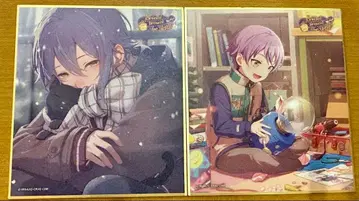 프로세카 카미시로 루이 색지 53C