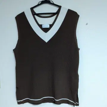 human woman 브라운 V넥 니트 베스트