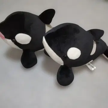 수족관 한정판 범고래 봉제 인형