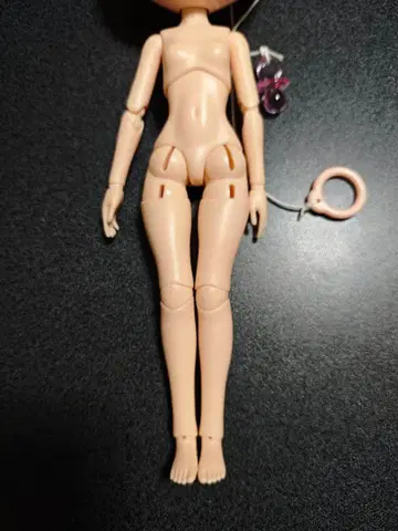 가동 바디 네오 브라이스 사이즈 구체 관절 1/6