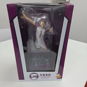 우시지마 와카토시 액션 피규어