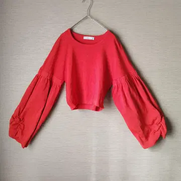 자라 레드 볼륨 슬리브 크롭 니트