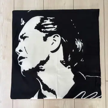 야자와 에이요시 쿠션 커버 실루엣 빅 비트