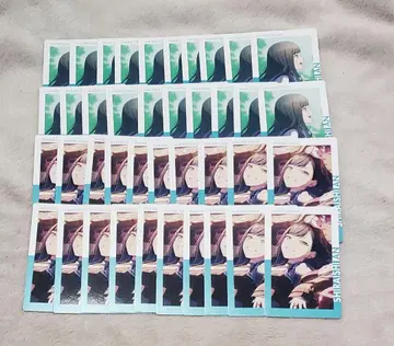 프로세카 에피카 시로이시 안