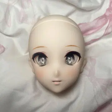 DC-H-24 헤드 드림 초이스 세미 화이트