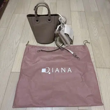 DIANA 베이지 숄더백 2way