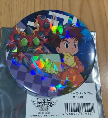 디지몬 캔뱃지 이즈미 코시로