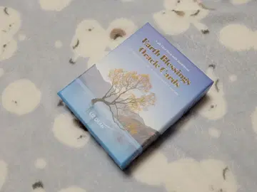 어스블레싱 오라클